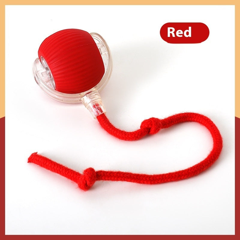 Interactive Cat Toy Ball Super Drive Cat Rolling Ball super drive cat rolling ball