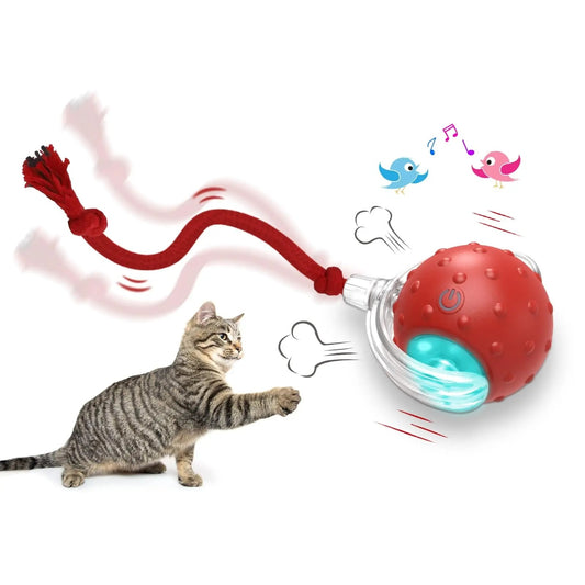 Interactive Cat Toy Ball Super Drive Cat Rolling Ball super drive cat rolling ball
